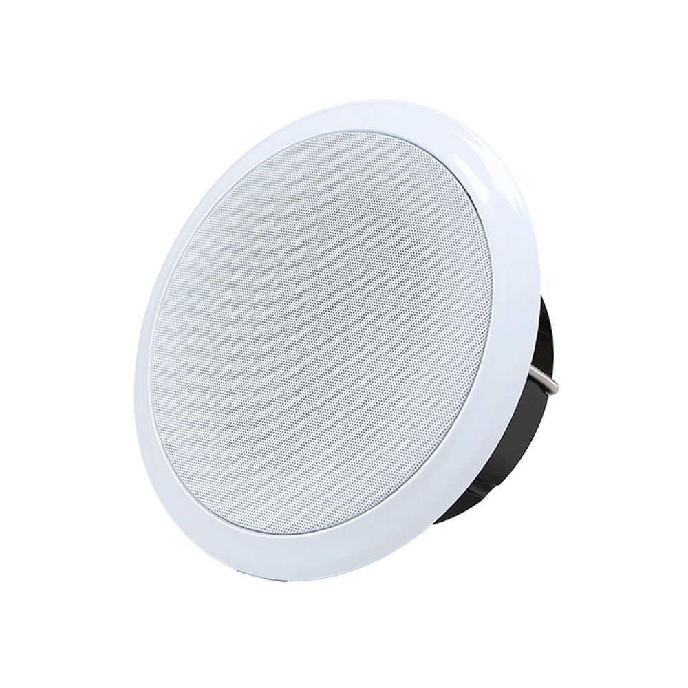 Calcination wall-mounted white round speaker 10W_KROWNdA65463